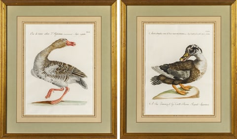 Saverio Manetti (1723-1785)