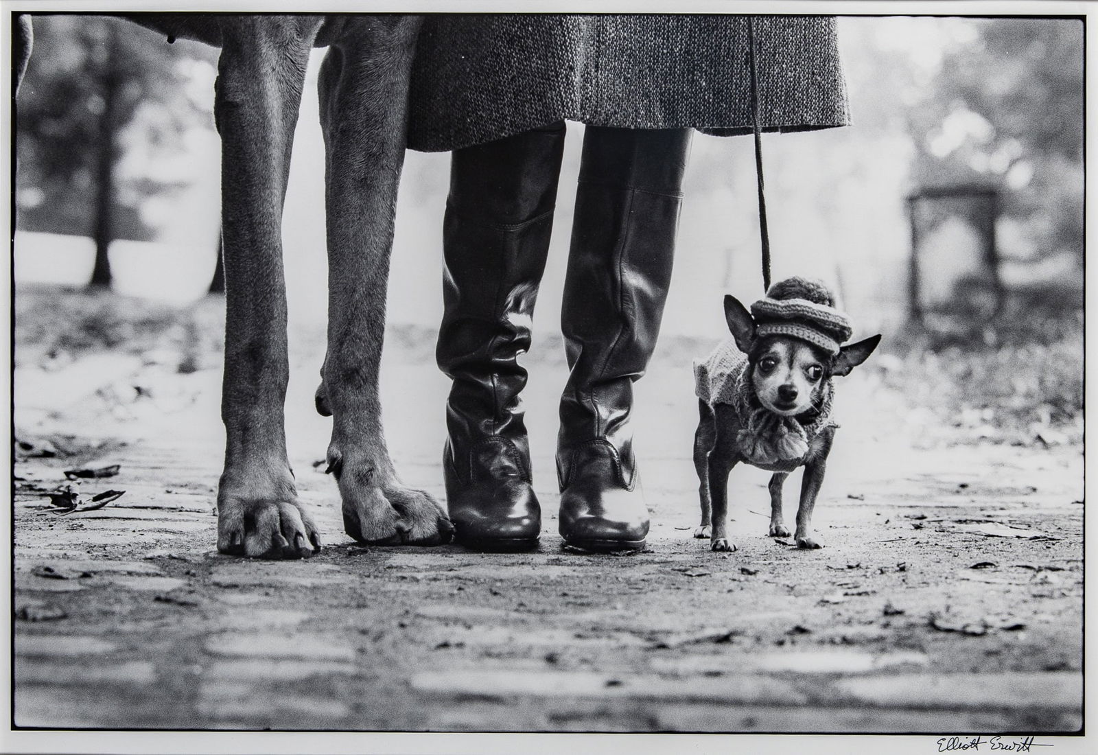 Elliott Erwitt, New York City (Dog Legs), 1974.: ERWITT, ELLIOTT (1928-2023) New York City (Dog Legs)