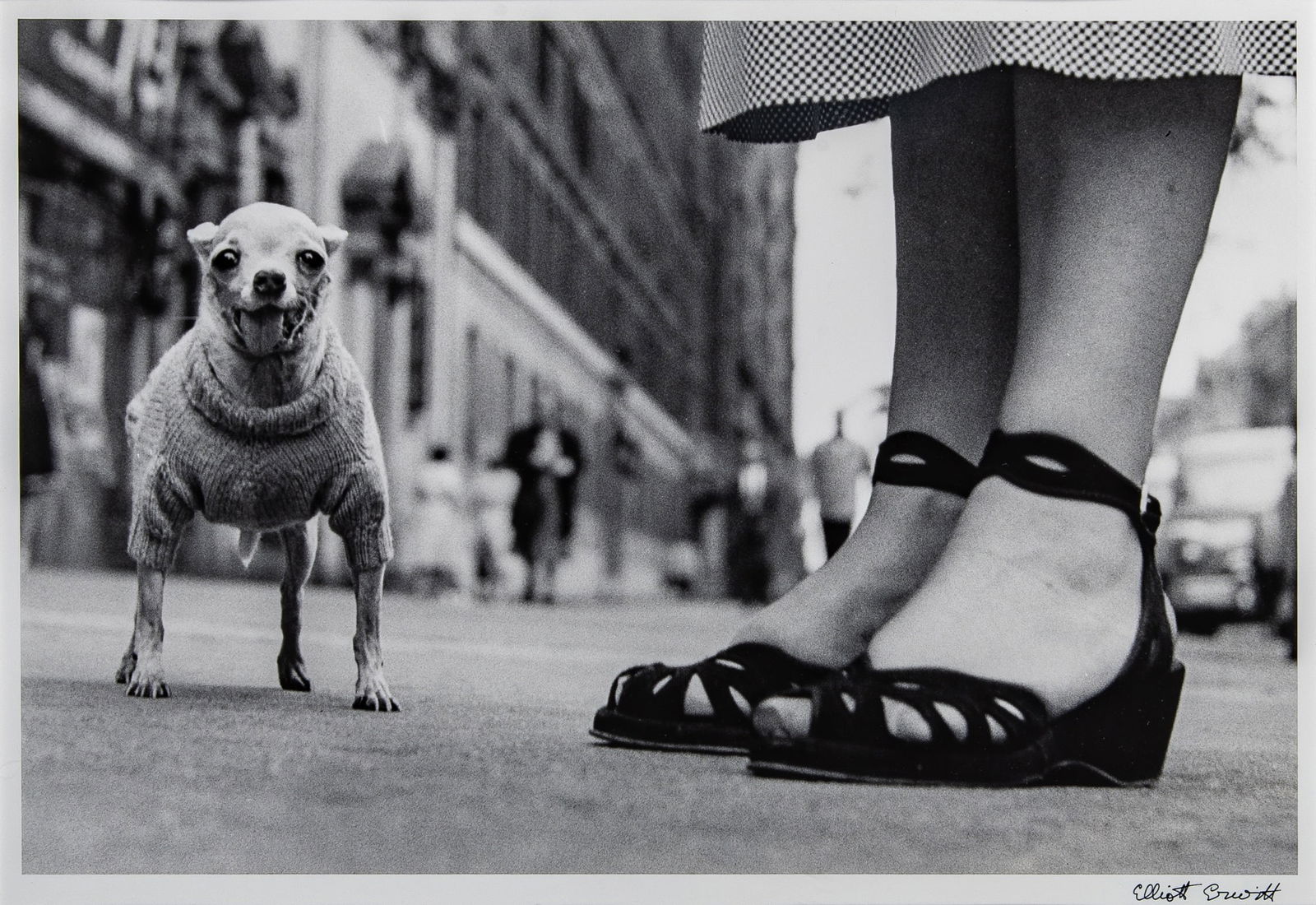 Elliott Erwitt, New York City (Dog and Feet), 1946.: ERWITT, ELLIOTT (1928-2023)