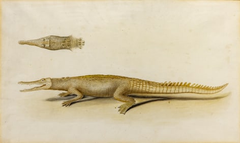 Indian School Painting