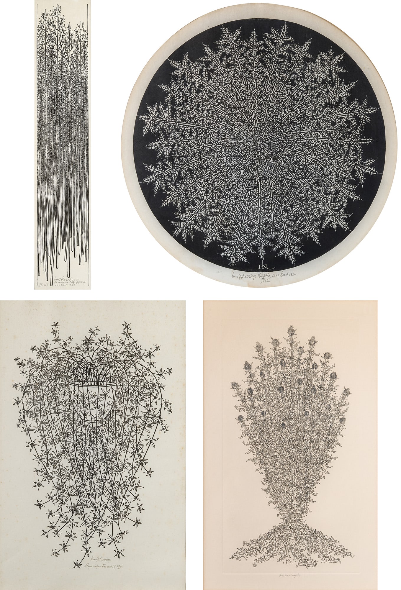 Jacques Hnizdovsky (1915-1985): FOREST IN THE SPRING; THISTLE; ASPARGUS FERN; THISTLE (TAHIR 31, 72, 208, 358) Three woodcuts and an etching, 1960, 1967, 1971 and 1975, signed and numbered 34/100, 92/100, 53/120 and 8/100, three dat