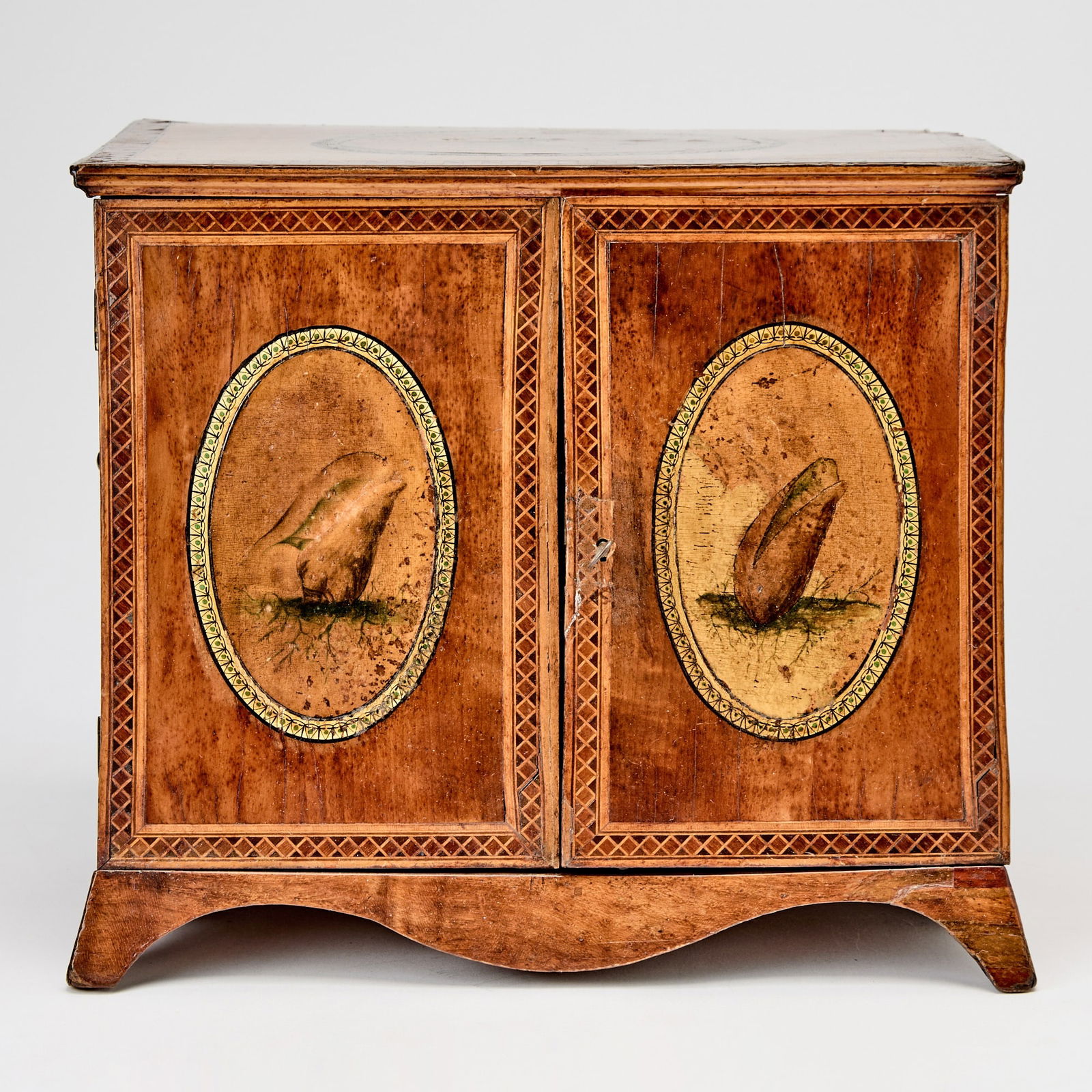 George III Painted Satinwood Small Cabinet (1 of 5)