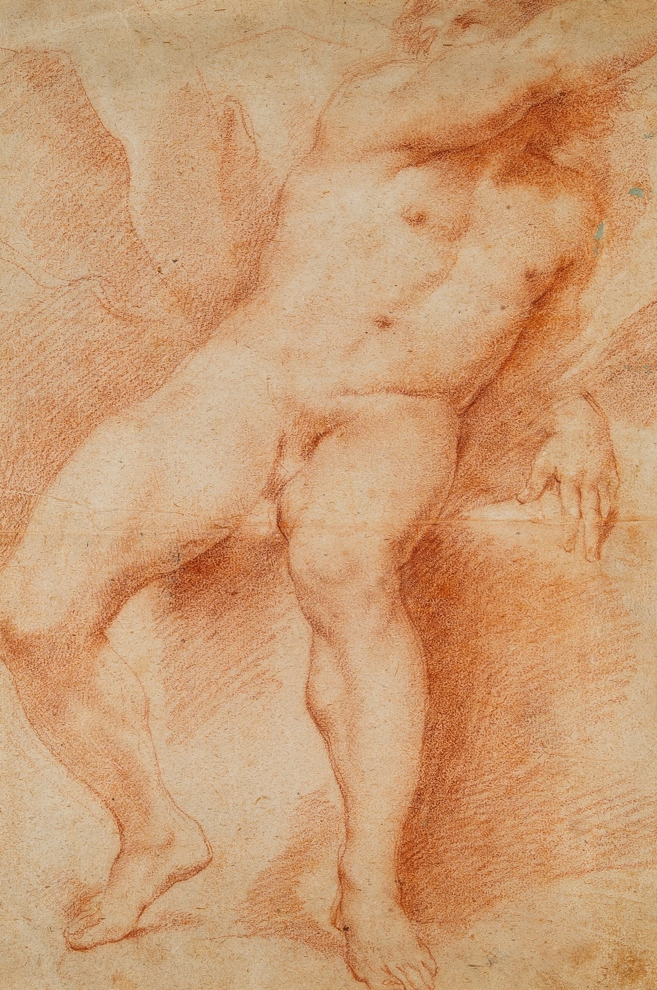 Italian School: 18th Century Academic Study of a Male Nude Red chalk on paper Sight 19 x 12 1/2 inches (48.3 x 31.7 cm) Frame 33 x 27 inches (83.8 x 68.6 cm) Multijple creases. Not viewed out of the frame.