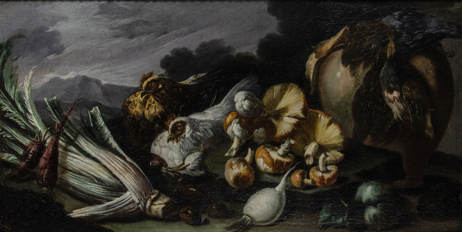 Continental School: 18th Century Still Life with Chickens, Vegetables, and Mushrooms Oil on canvas 22 3/4 x 42 3/4 inches (57.8 x 108.5 cm) Frame 28 1/8 x 49 inches ( 71.5 x 124.5 cm) Glue relined. Craquelure. Visible