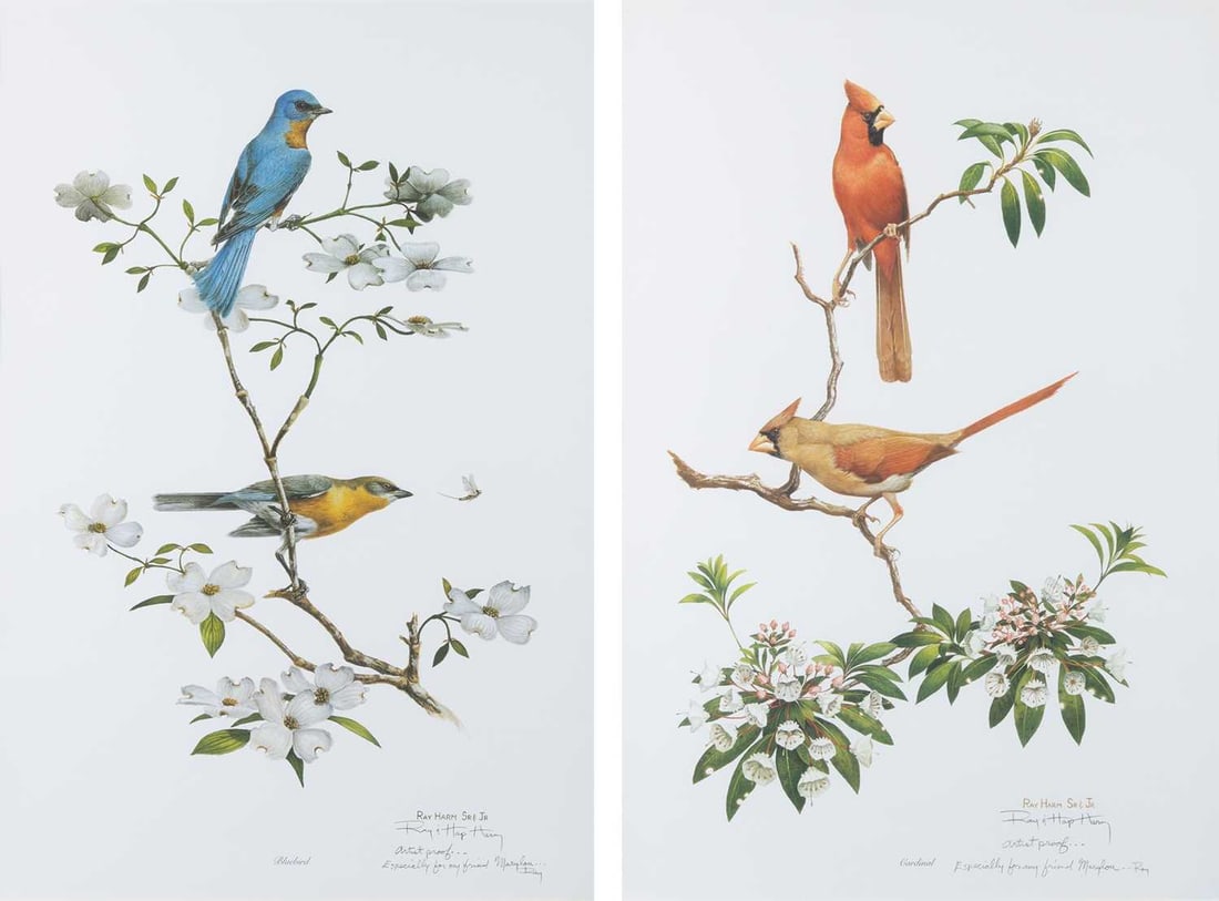 Ray Harm, Sr. (1927-2015) and Ray 'Hap' Harm, Jr.: [BIRD STUDIES] Two color offset lithographs, signed, inscribed Artist Proof ... and dedicated Especially for my friend Marylou...Ray in pencil, framed. Frames 28 1/2 x 20 3/4 inches 