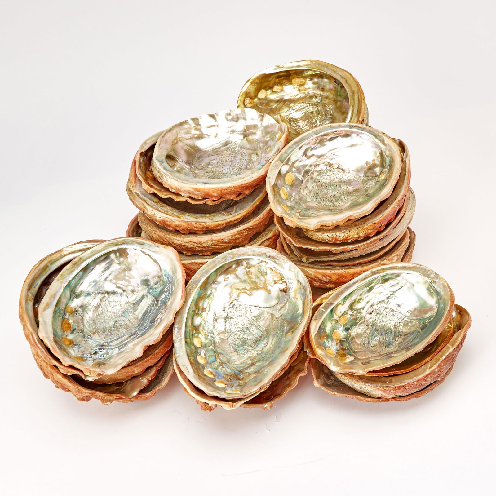 Group of Thirty-Six Abalone Shell Seafood Dishes: Length 7 1/2 inches.
