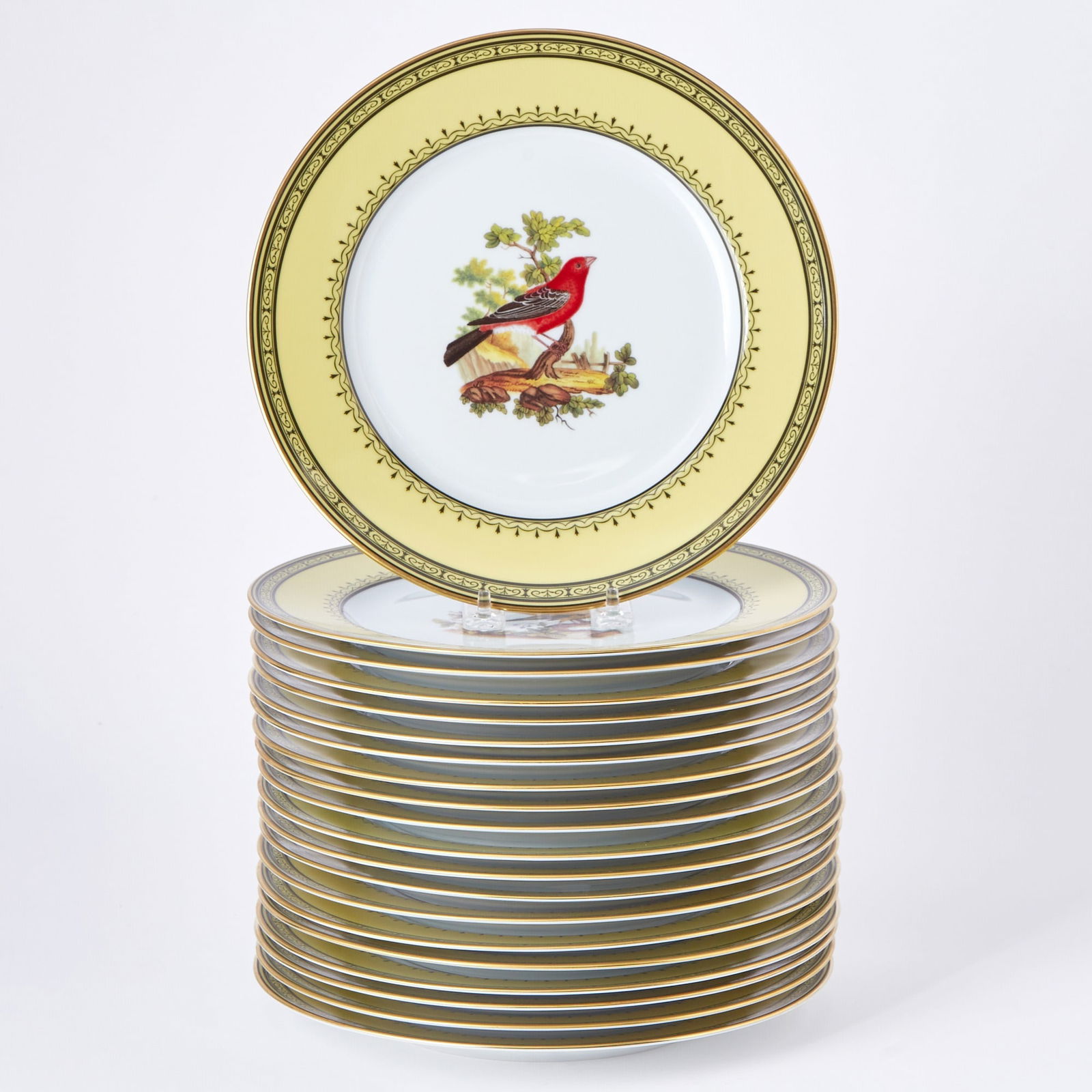Set of Twenty Limoges Porcelain Transfer Decorated "Jardin du Roi" Pattern Dinner Plates: Each center depicting a different species of bird, continuing to a yellow border, titled in French on the reverse side, including Gros Bec du Canada, Cardinal Dominiquain, Catinga Bleu, Barbu de Mayna