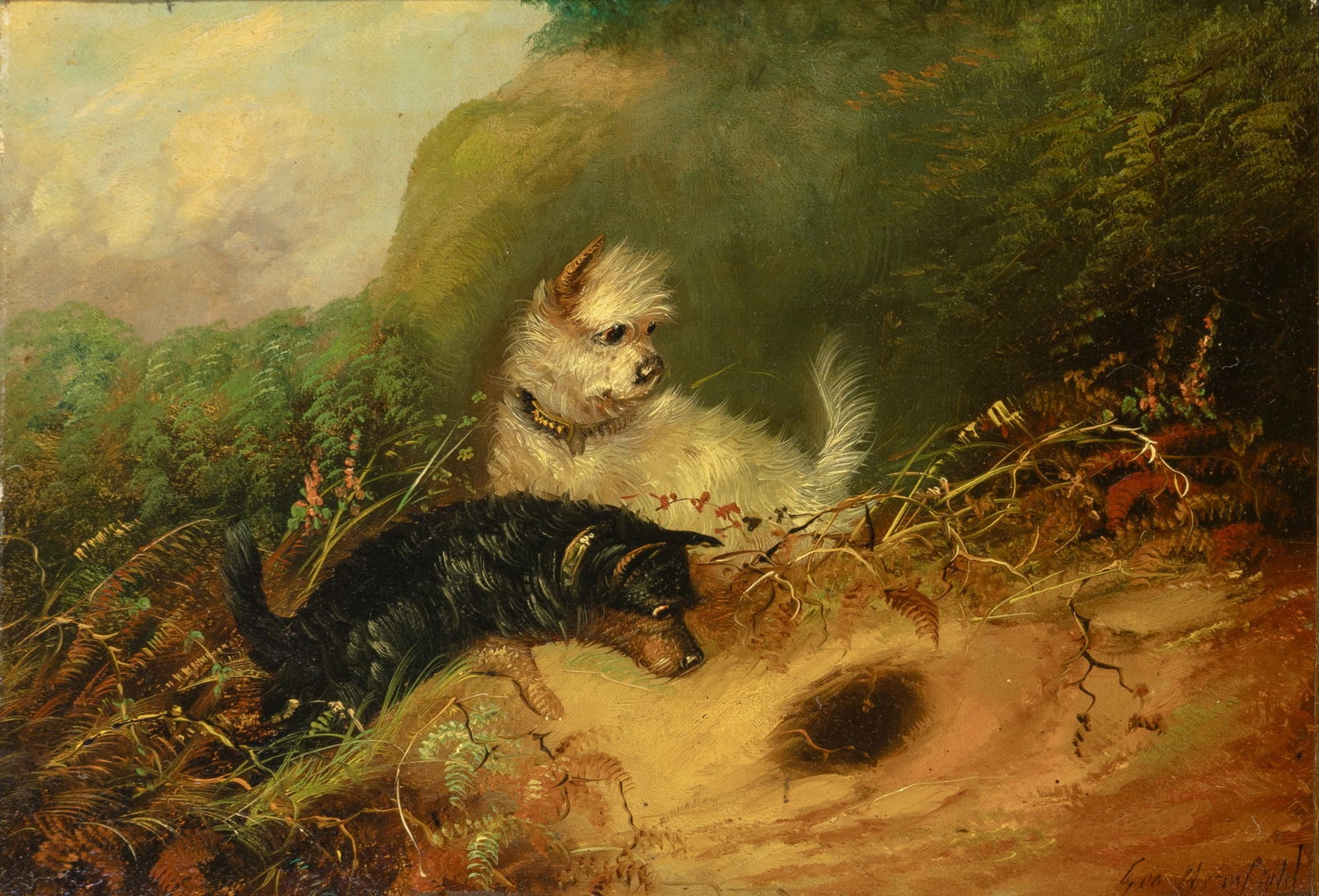 George Armfield (1 of 4)