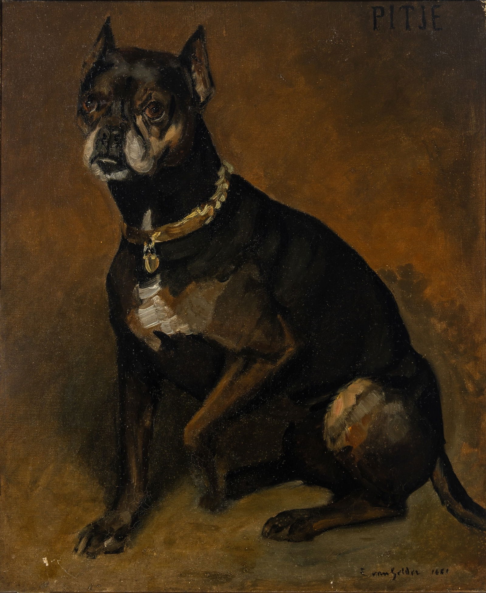 Eugene van Gelder: Belgian, b. 1856 "Pitje" a Manchester Terrier, 1881 Signed and dated E. van Gelder 1881 (lr) and inscribed PITJE (ur) Oil on canvas 23 3/4 x 19 3/4 inches (60.3 x 50.2 cm) (Framed 25 x 21 inches) 