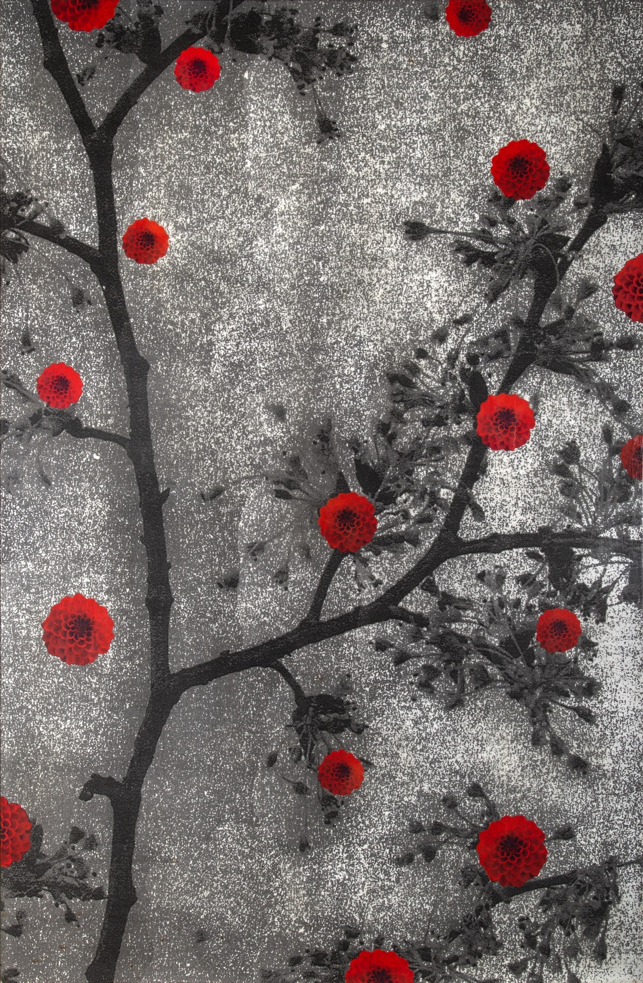 Peter Dayton (1 of 2)