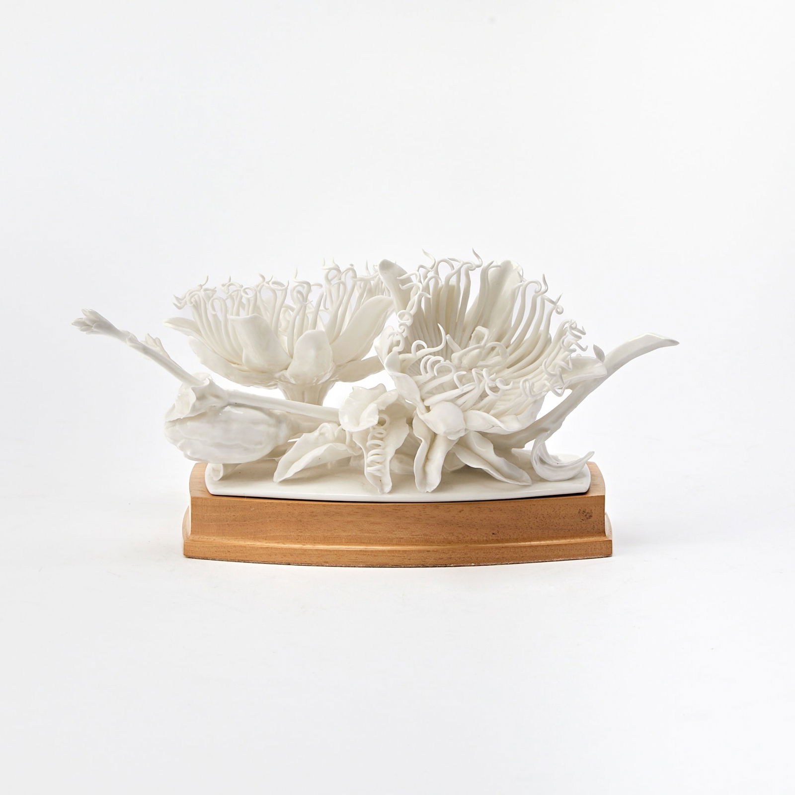 Royal Worcester Passion Flower Porcelain Sculpture: On wood base. Height 4 inches, width 10 inches. a few small losses