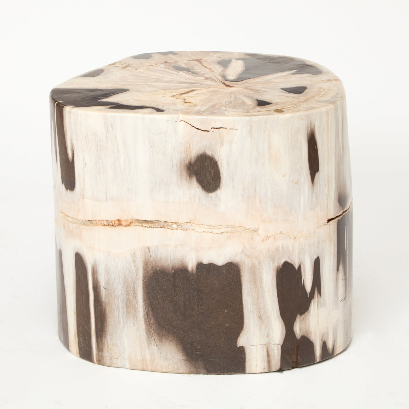 Petrified Wood Stool (1 of 4)