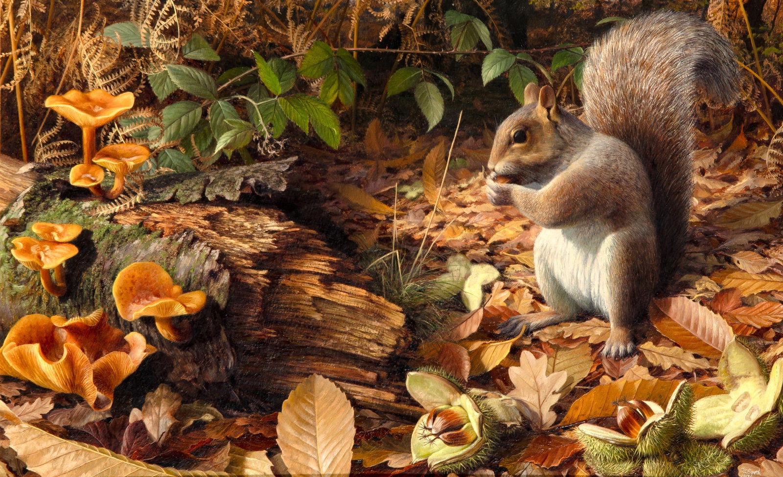 Raymond C. Booth: English, 1929-2015 Squirrel, 1976 Signed R. C. Booth and dated 1976 (lr) Oil on particle board 12 1/2 x 20 1/2 inches (31.6 x 52 cm) 18 3/8 x 26 inches (46.7 x 66 cm) In good condition 