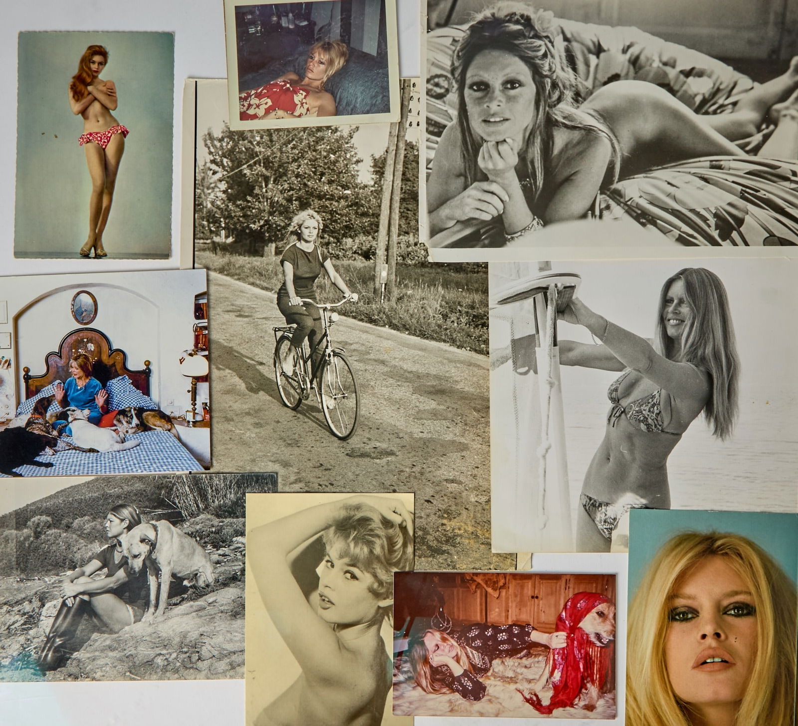 An archive of Brigitte Bardot photographs and notes signed for her longtime Saint Tropez 'Gardienne': BRIGITTE BARDOT Archive of photographs and correspondence items to longtime Saint Tropez 'Gardienne' and confidant Madeleine Venant. Mostly San Tropez: circa 1973 to 2010. A wonderful archive compri
