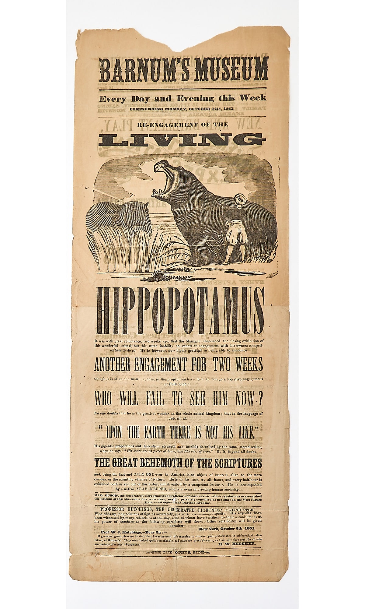 An 1861 Barnum broadside for the Hippopotamus and "Great Expectations." (1 of 2)