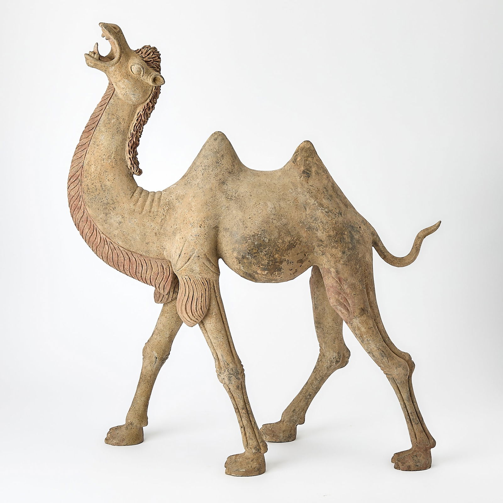 A Chinese Pottery Figure of a Standing Camel Tang Dynasty (1 of 9)