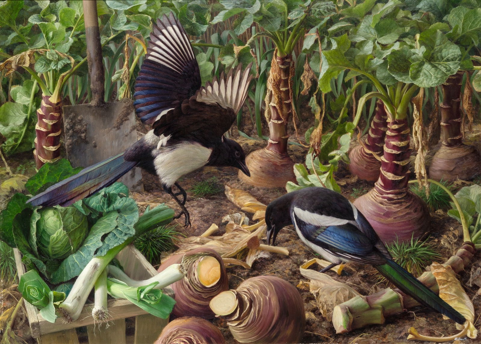 Raymond C. Booth: English, 1929-2015 Two Magpies, circa 1984 Signed R.C. Booth (lr) Oil on panel 22 3/4 x 31 inches (57.8 x 78.7 cm) (Framed 30 x 38 3/4 inches)