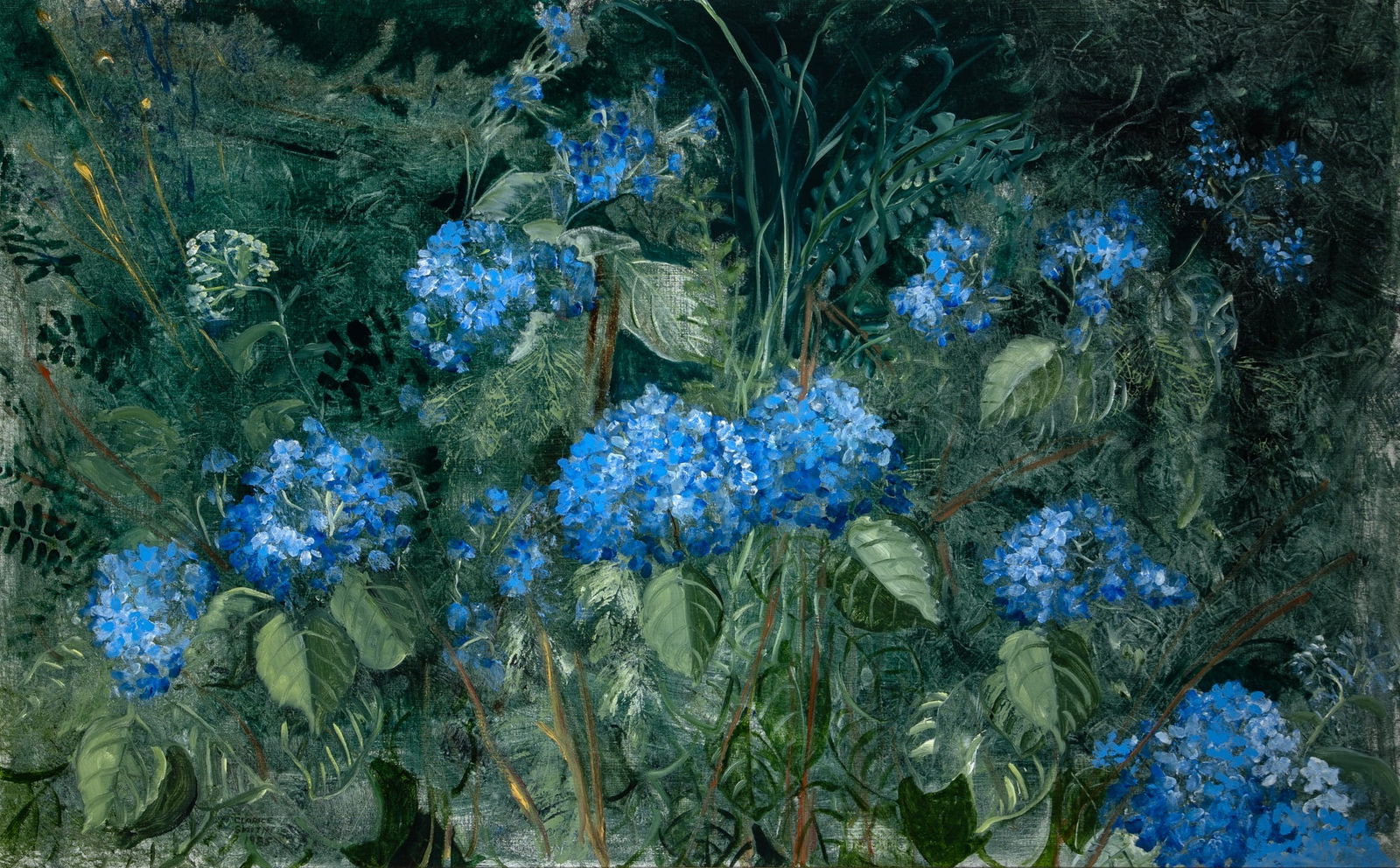 Clarice Smith: American, 1933-2021 Untitled (Hydrangeas), 1985 Signed Clarice Smith 1985 (ll) Oil on canvas 30 1/8 x 48 inches (76.5 x 121.9 cm) Provenance: Foxhall Gallery, Washington, D.C. (Frame 36 x 54 1/2