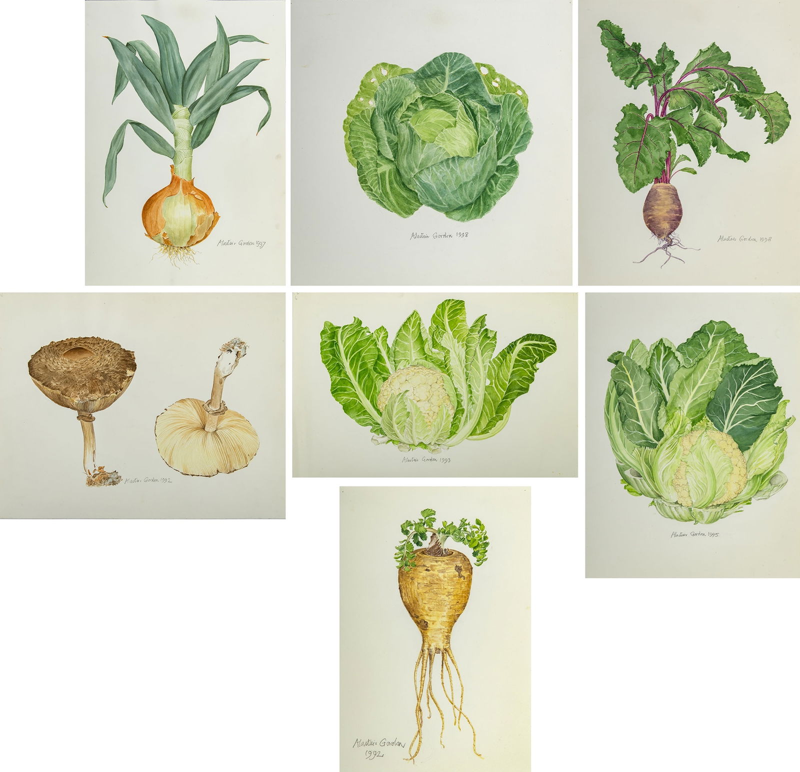 Alastair Gordon: British, 1920-2002 Group of Botanical Paintings: Seven Each signed Alastair Gordon and dated 1992 (x2), 1993, 1995, 1997, 1998 (x2) Watercolor on paper Largest 14 x 21 1/4 inches (35.6 x 54 cm)