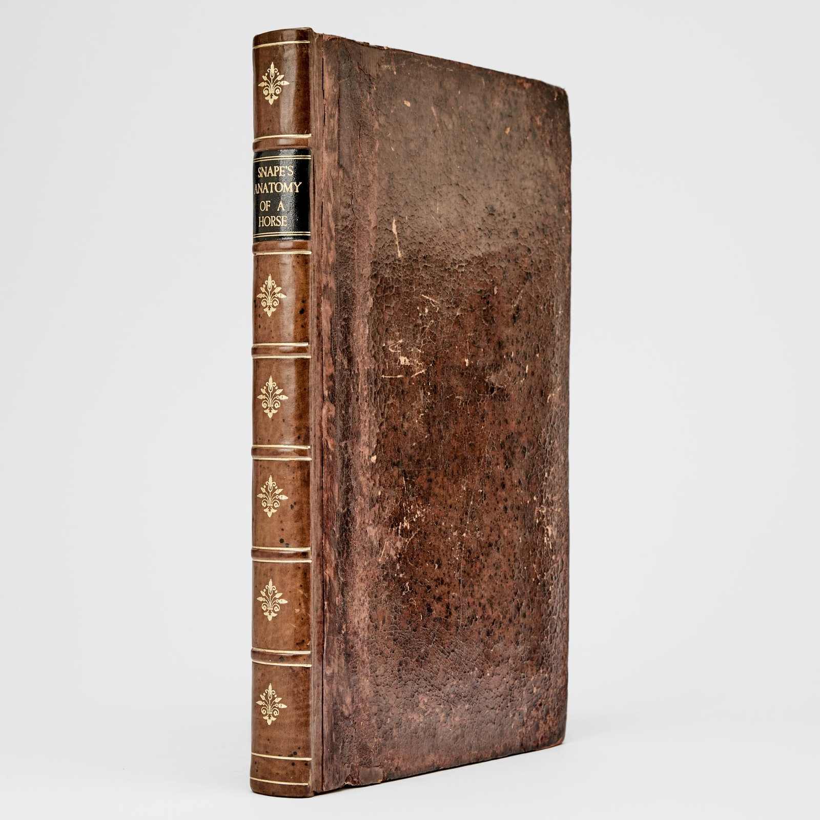 The first English book on the anatomy of the horse: SNAPE, ANDREW The Anatomy of an Horse, Containing an Exact and Full Description of the Frame, Situation and Connexion of all his Parts (with their Actions and Uses) to which is added an Appendix, cont