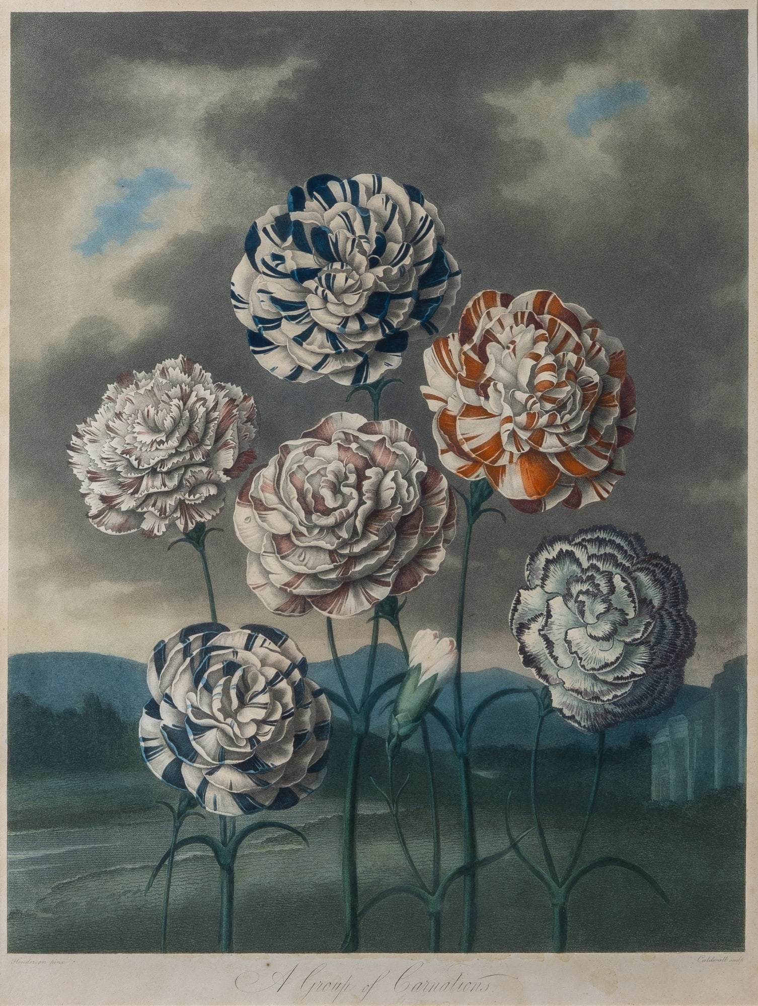 Dr. Robert Thornton (1768-1837), publisher (1 of 2)