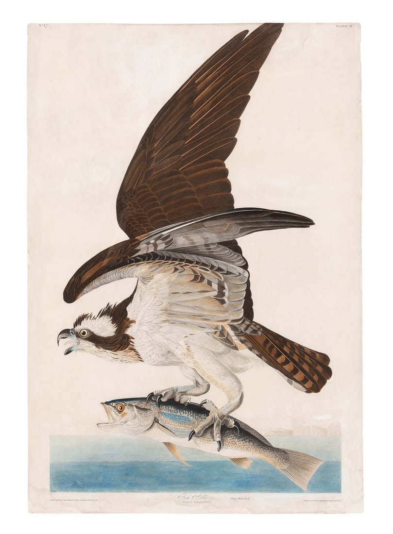 After John James Audubon (1785-1851) (1 of 2)