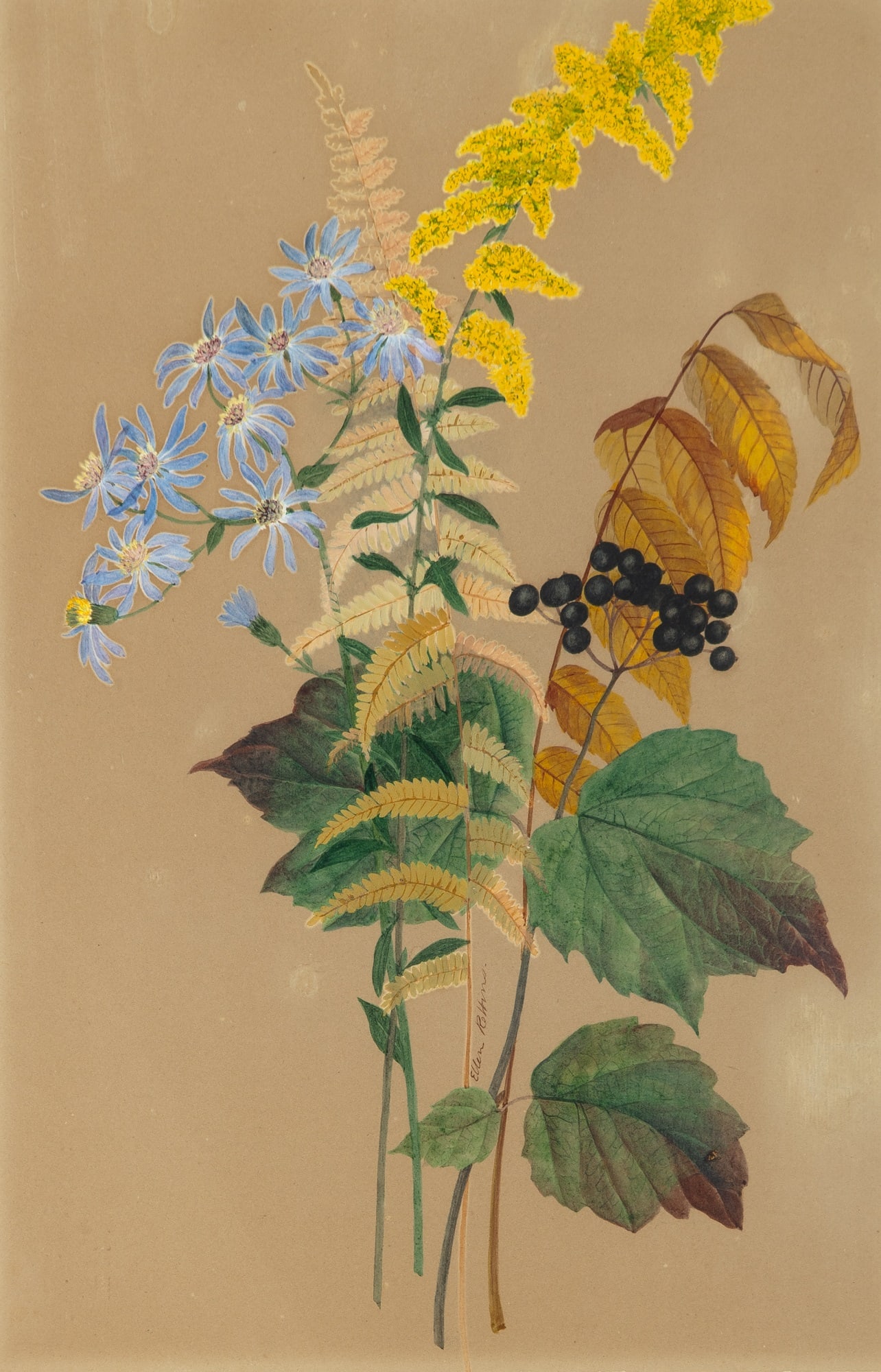 Ellen Robbins: American 1828-1905Still Life of Flowers, Ferns, and BerriesSigned Ellen Robbins. (lc)Watercolor on paper16 x 13 inches (Framed 22 3/4 x 17 1/4 inches) Mat-stained and light-sta