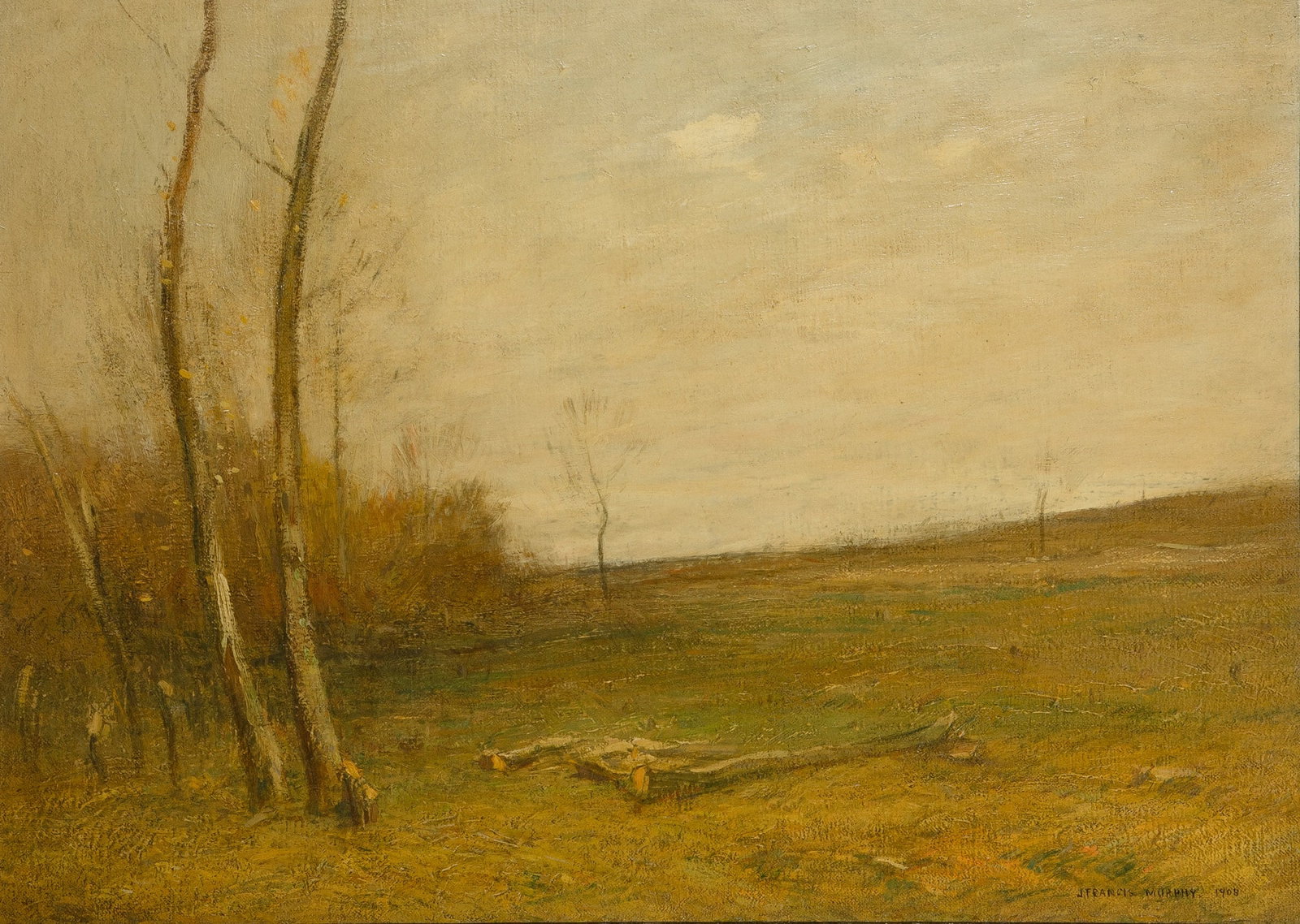 John Francis Murphy: American, 1853-1921Corner of a Wood Lot, 1908Signed J Francis Murphy. and dated 1908 (lr); inscribed as titled on the reverseOil on canvas16 x 22 inchesProvenanceSenator Edward H