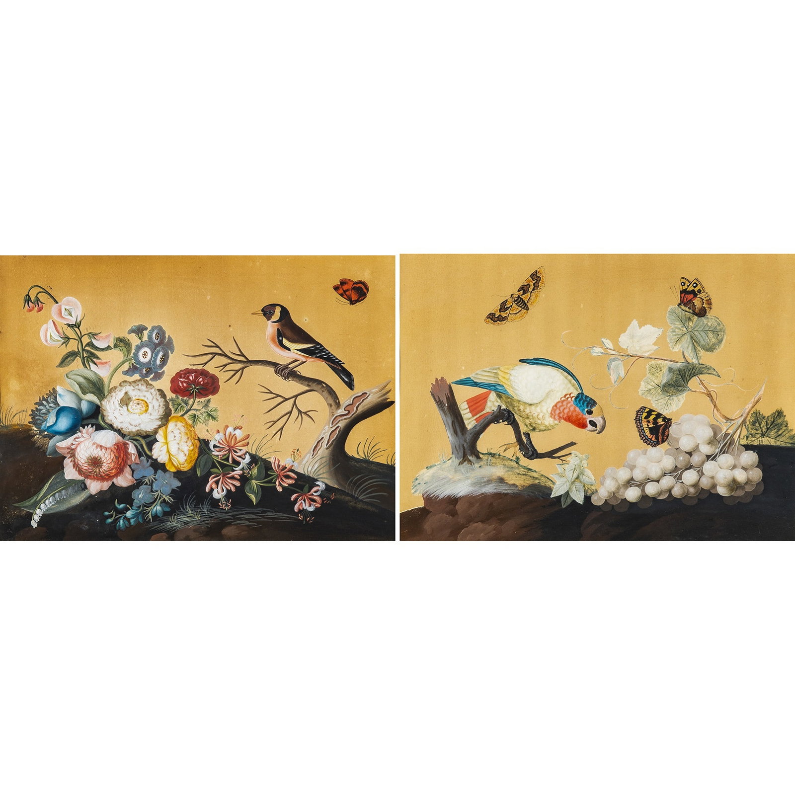 Samuel Dixon: Irish, 1669-1769 The Goldfinch and The White-Headed Parrot: A Pair, circa 1755 Identified on labels on the reverse Watercolor on paper Sight 11 3/8 inches x 15 5/8 inches Framed 20 x 24 inches