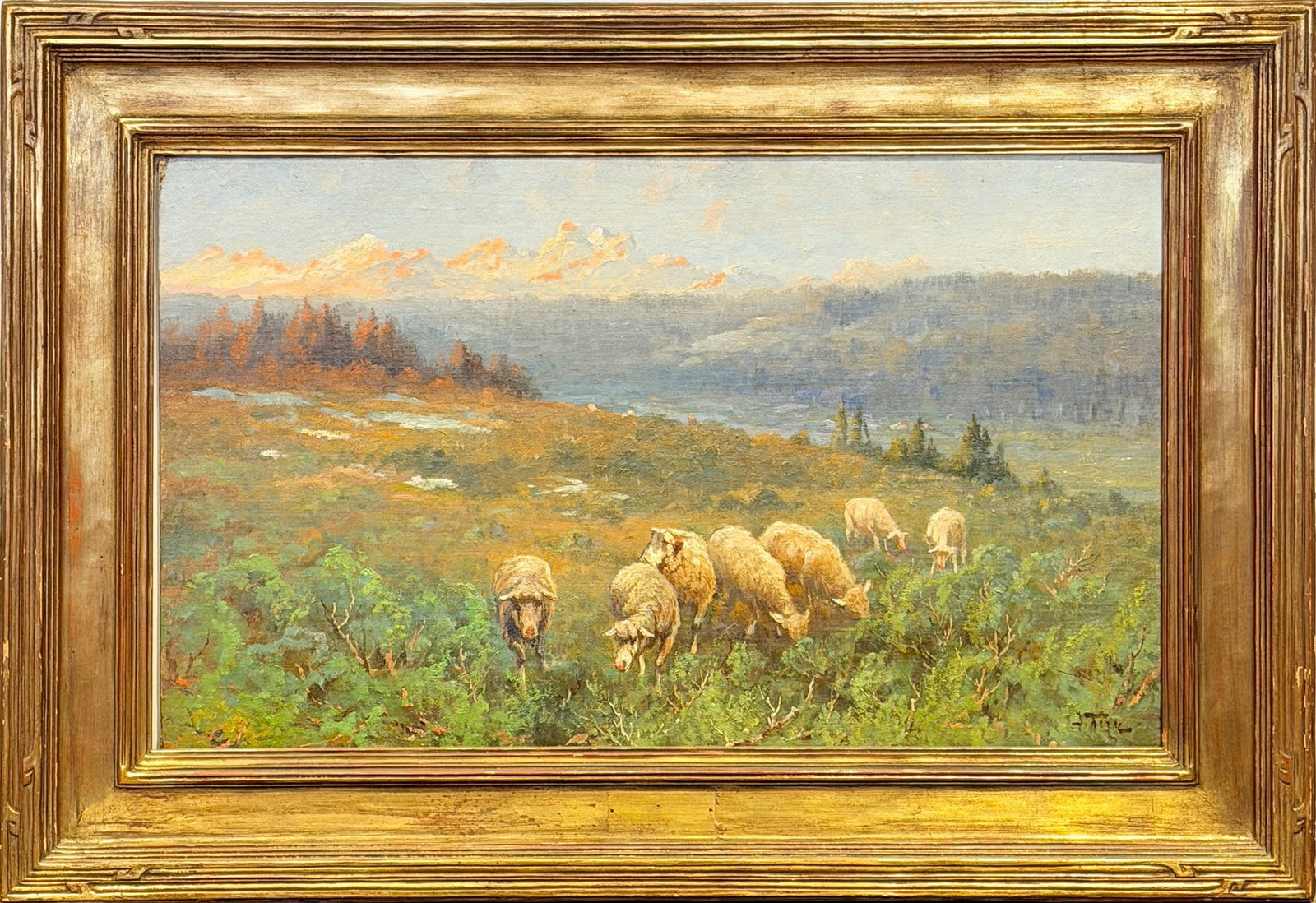 John Fery (1 of 8)