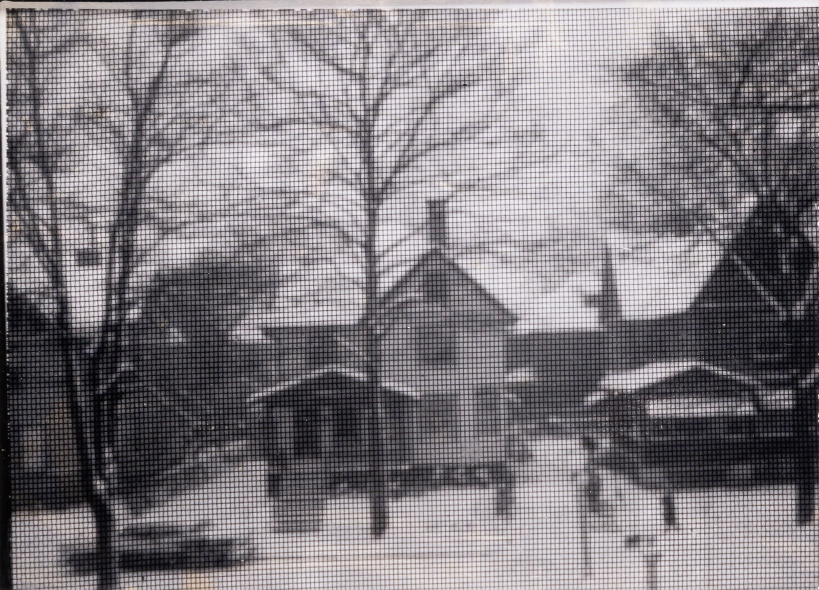 Ansel Adams, Rundel Park through Window Screen, Rochester, New York, 1960: ADAMS, ANSEL (1902-1984) Rundel Park through Window Screen, Rochester, New York, 1960. Type 53 Polapan Polaroid print, 3 1/2 x 4 1/2 inches (89 x 115 cm), verso inscribed on the blank tab in unidentif