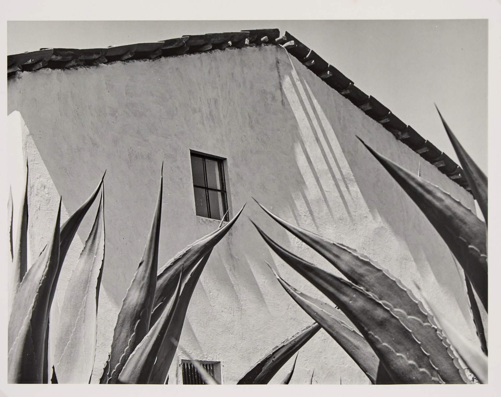 Manuel Álvarez Bravo, Ventana a los magueyes, 1974 (1 of 3)