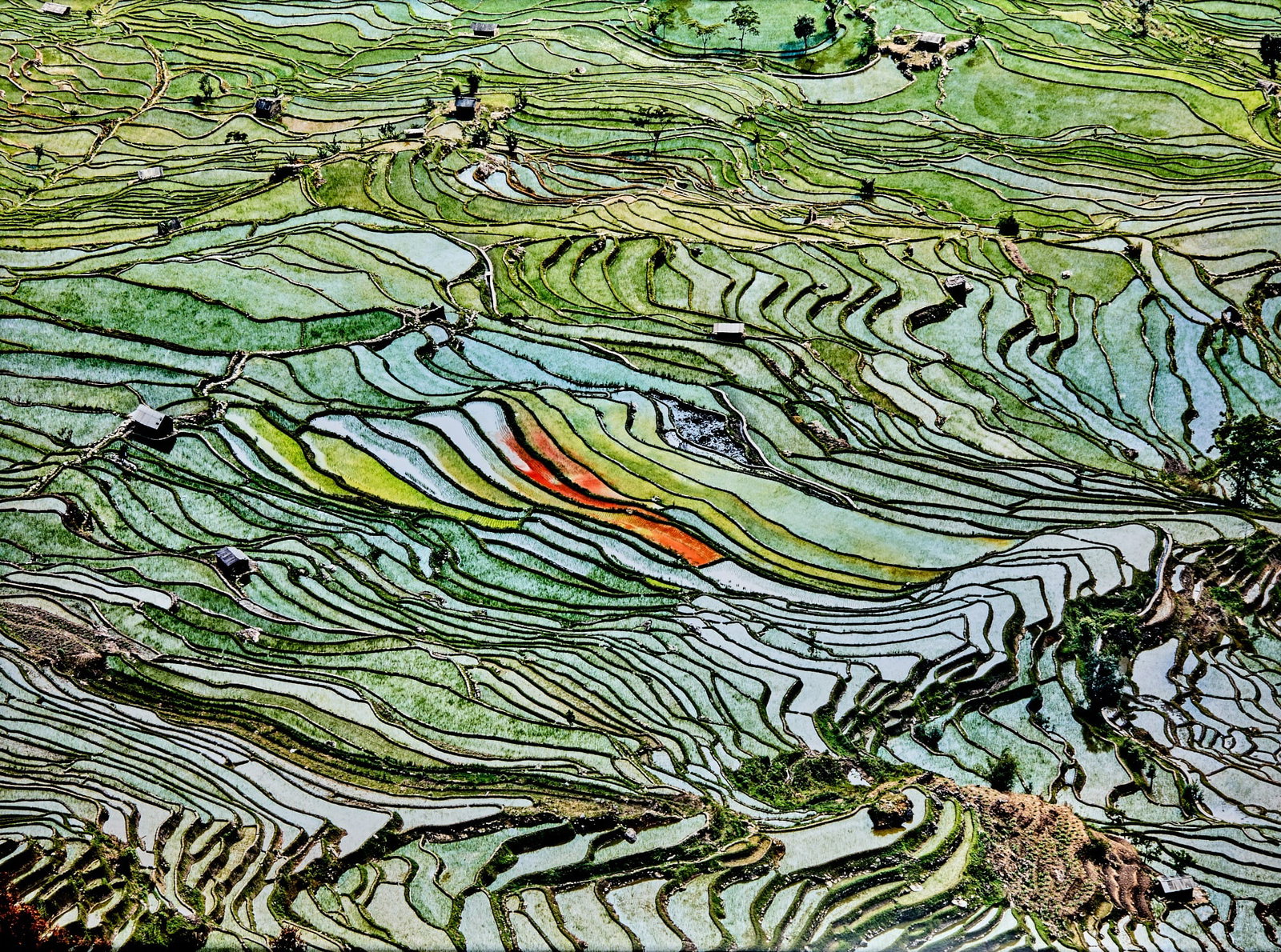 Edward Burtynsky, Rice Terraces #2, Western Yunnan Province, China, 2012 (1 of 4)