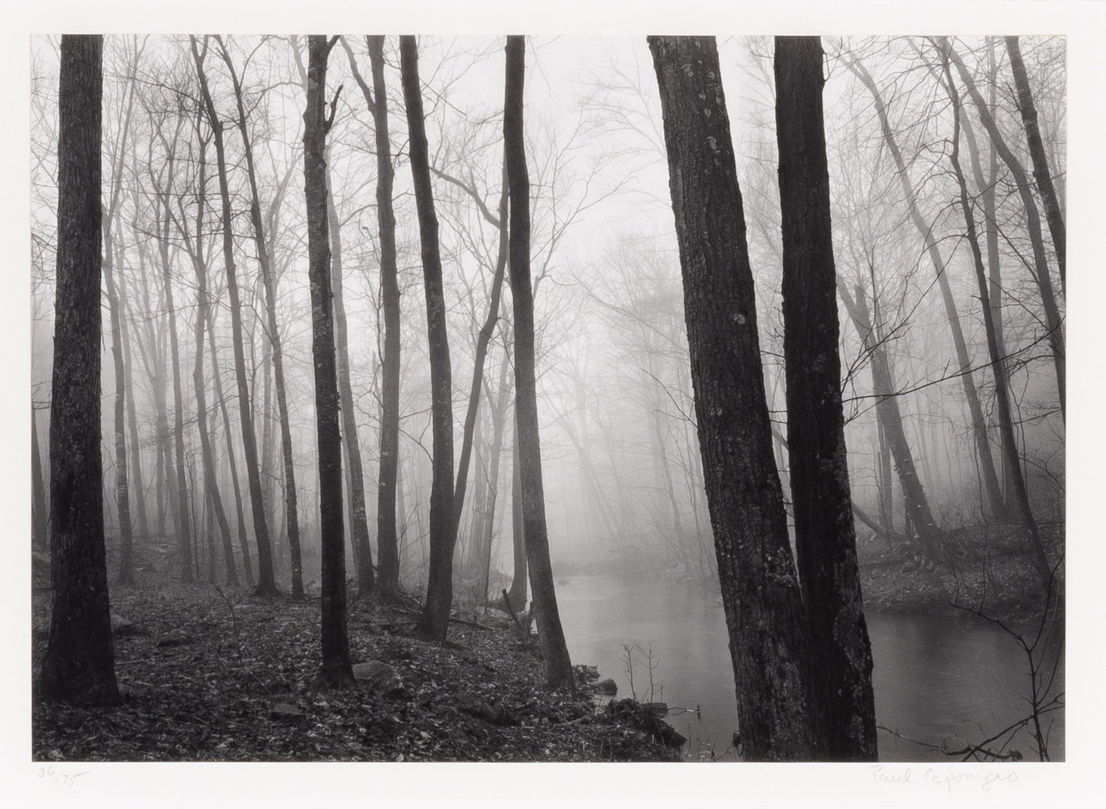 Paul Caponigro, Fog and Trees, Redding, 1968: CAPONIGRO, PAUL (b. 1932) Fog and Trees, Redding, 1968, printed 1992. Gelatin silver print, 9 3/8 x 13 1/4 inches (238 x 337 mm), dry-mounted, signed on the mount in pencil (l.r.), numbered 36 from th