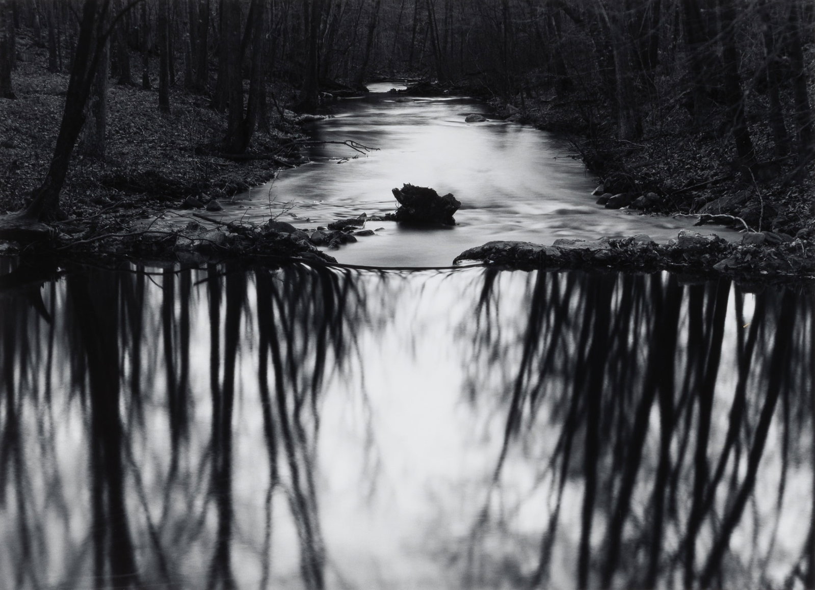 Paul Caponigno, Woods, Redding, Connecticut, 1968 (1 of 3)