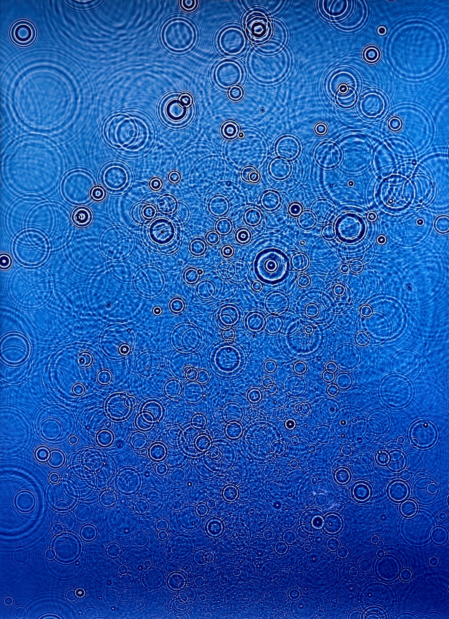 Adam Fuss, Untitled 2014 (1 of 3)