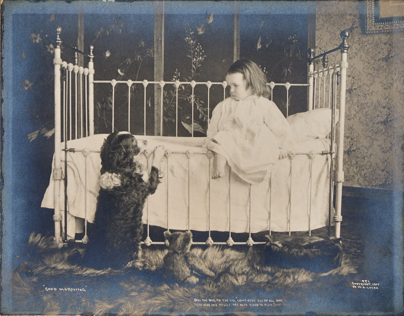 W. O. Locke, Child, dog and Teddy bear, 1907 (1 of 4)
