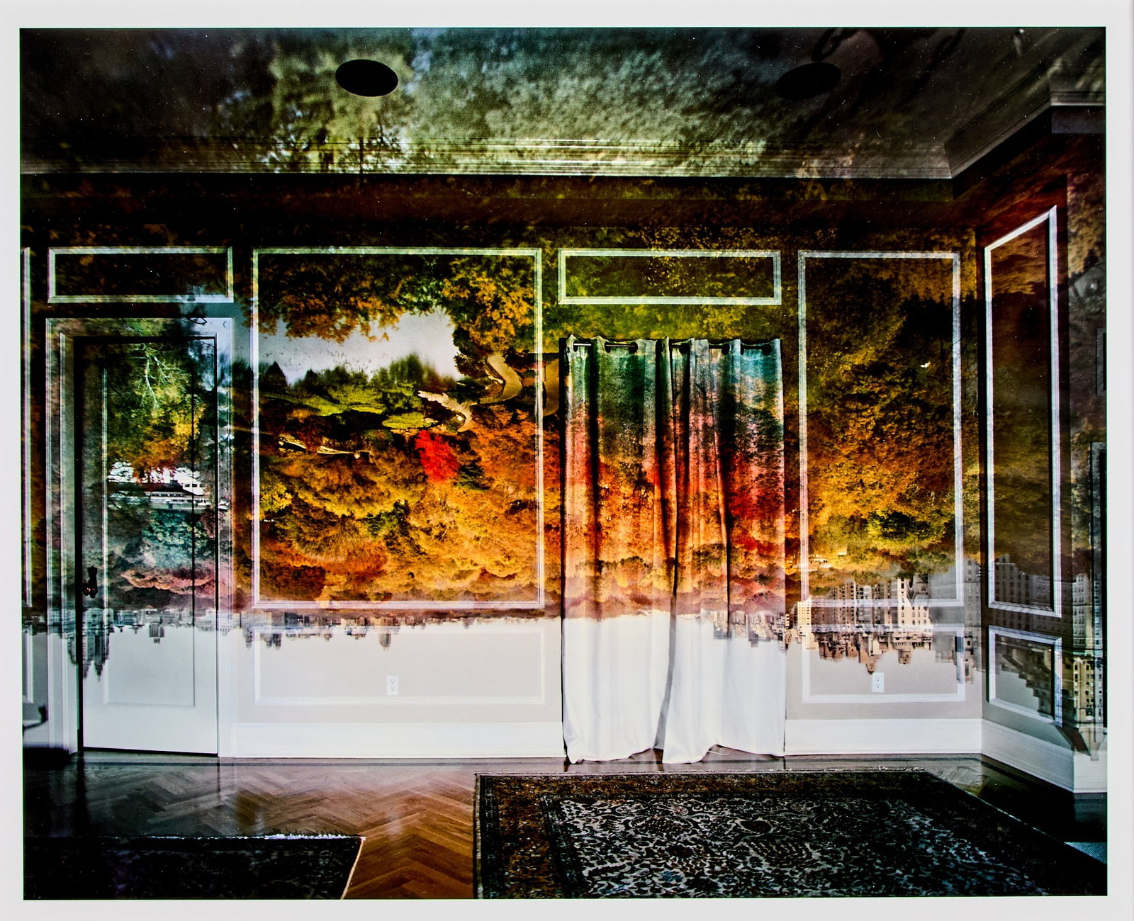 Abelardo Morell, View of Central Park Looking North, Fall 2008 (1 of 3)