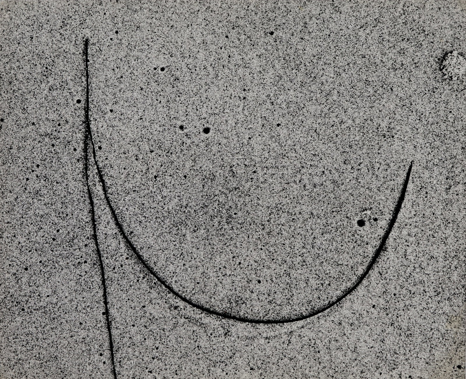 Aaron Siskind, Martha's Vineyard, 1953 (1 of 3)