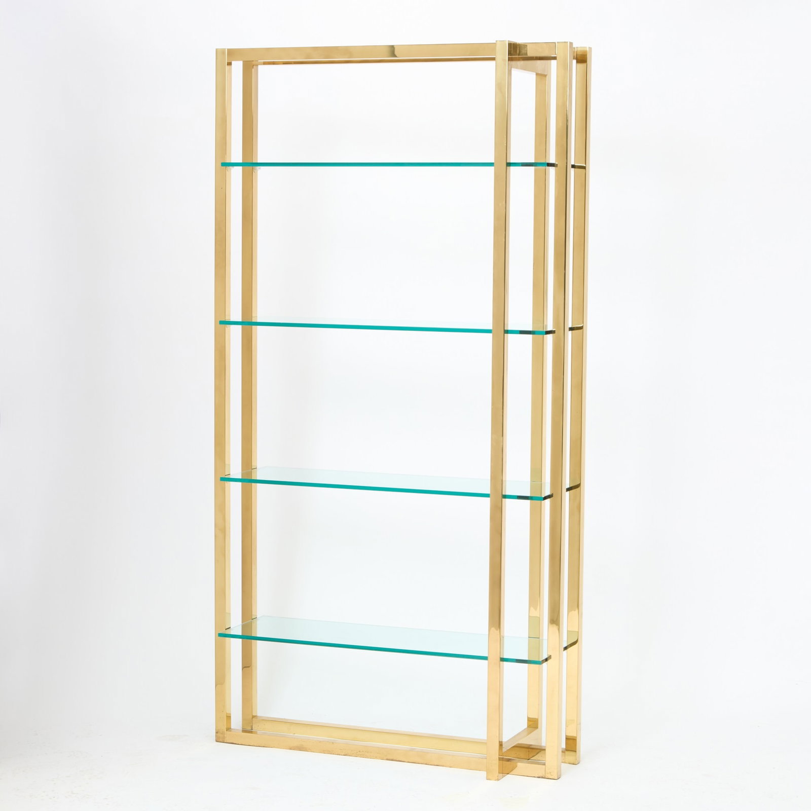 Modern Glass and Brass Bookcase (1 of 5)