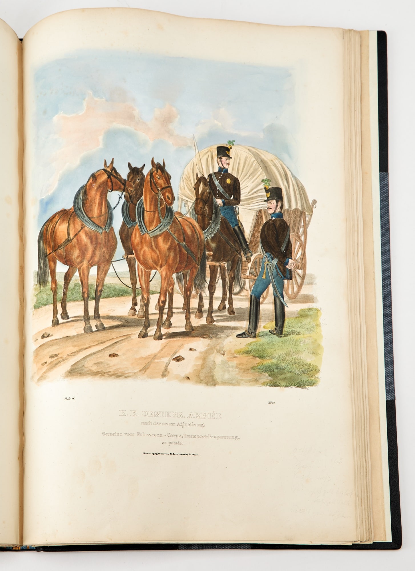 The Austrian army in brilliant color (1 of 5)