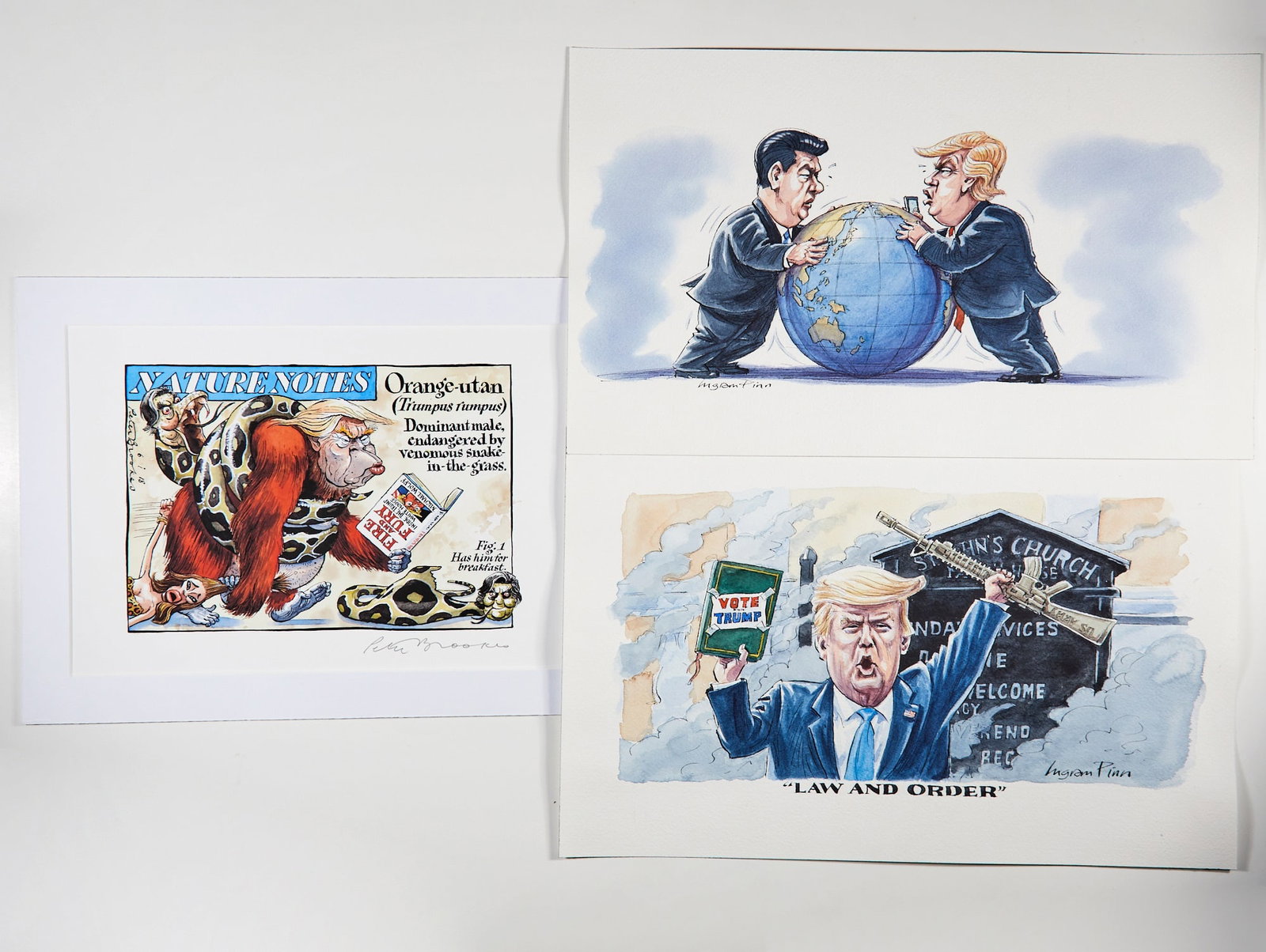 Political cartoons of Donald Trump (1 of 4)