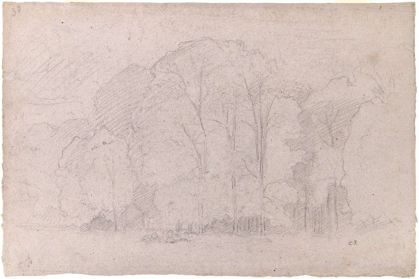 Camille Pissarro: French, 1830-1903 Arbres, circa 1859-60 Signed with initials C.P (ll), estate stamped C.P (lr) (LUGT 613E), and inscribed 30 (ul); numbered 630/6 on the verso Graphite pencil on paper 12 1/2 x 18 5/8