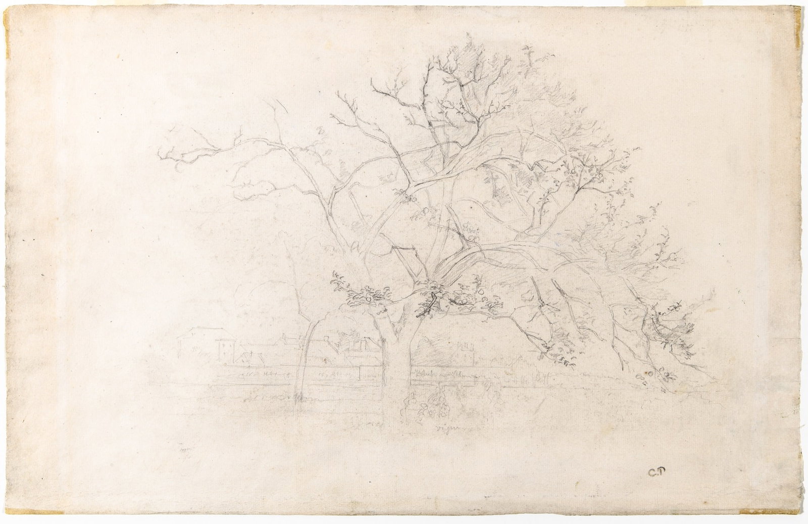 Camille Pissarro: French, 1830-1903 Arbres, circa 1870s Estate stamped with C.P (lr) (LUGT 613A or 613B) and inscribed Vigne (lc); numbered 3371 and inscribed 57/3 on the verso Graphite pencil on paper 11 13/16 x 18