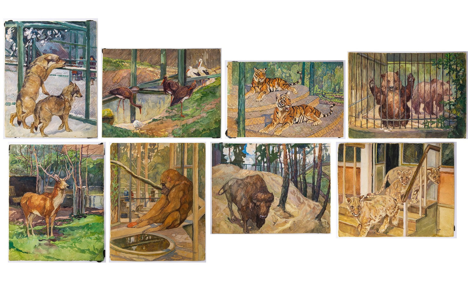 Konstantin Semionovich Vysotsky: Russian 1864-1938 Zoo Studies: Eight (8) Some signed with Cyrillic initials KB (lr) Watercolor on paper Largest 11 3/4 x 9 1/2 inches (29.8 x 22.9 cm) Unframed Mostly in overall good condition. Some