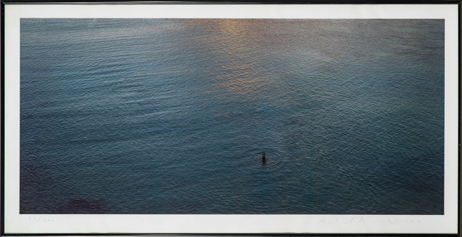 Signed by Richard Misrach: MISRACH, RICHARD Untitled, 2006. Photo-offset print, 16 x 35 inches (406 x 890 mm), signed in pencil, copy 53 of 200. Laid down to card, lifting in places. Framed.