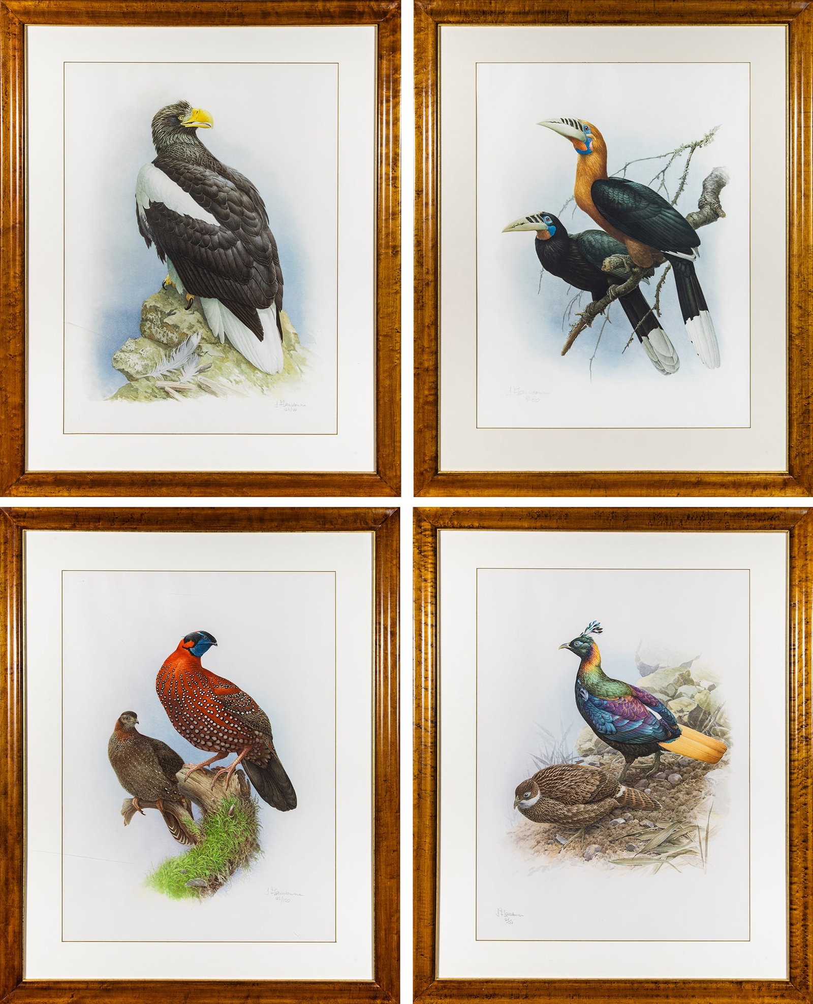 J. Fenwick Lansdowne (1937-2008): [BIRD STUDIES] Four color collotypes, 1992, on wove paper, signed and numbered 26/100(3) and 8/100 in pencil, from Rare Birds of China, published by Kennedy Fine Arts, London, framed. Sight 30 1/4 x 2