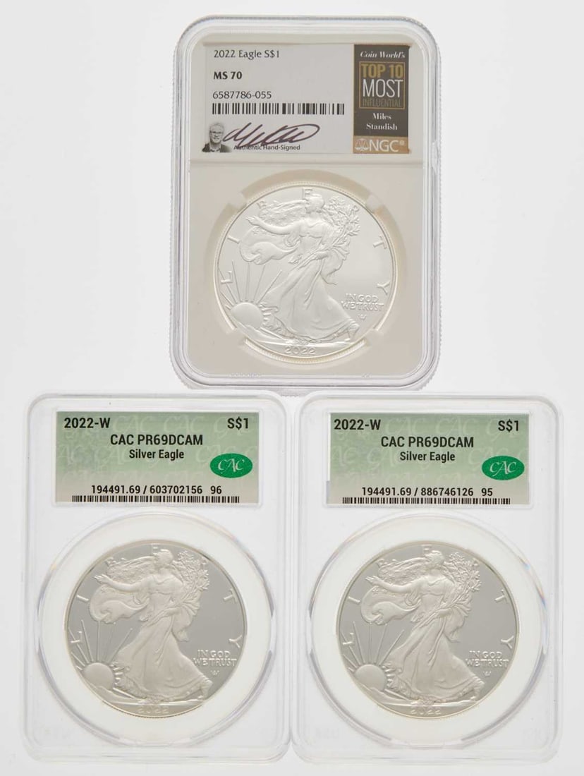 United States. Group of Type II American Silver Eagles. Proof and Business Strikes Finishes. (1 of 2)