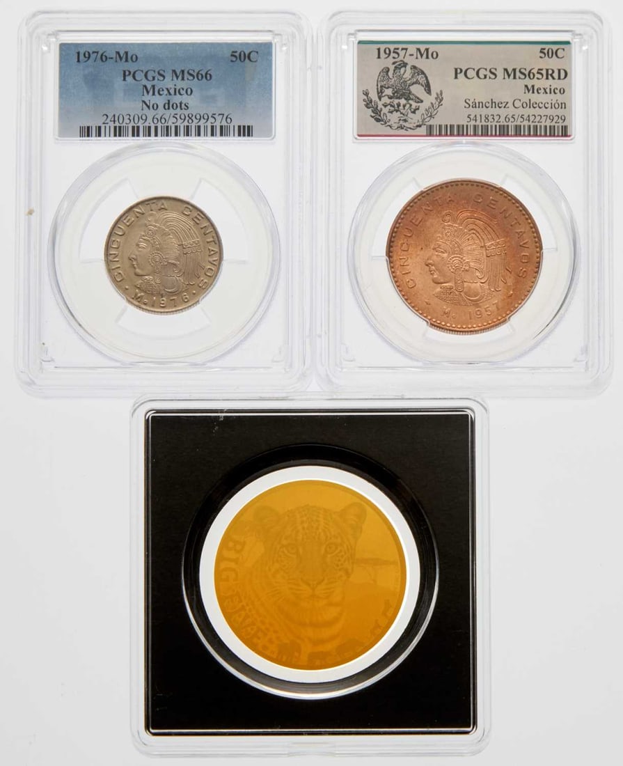 Multiple Countries. Certified and Uncertified Coins. (1 of 2)