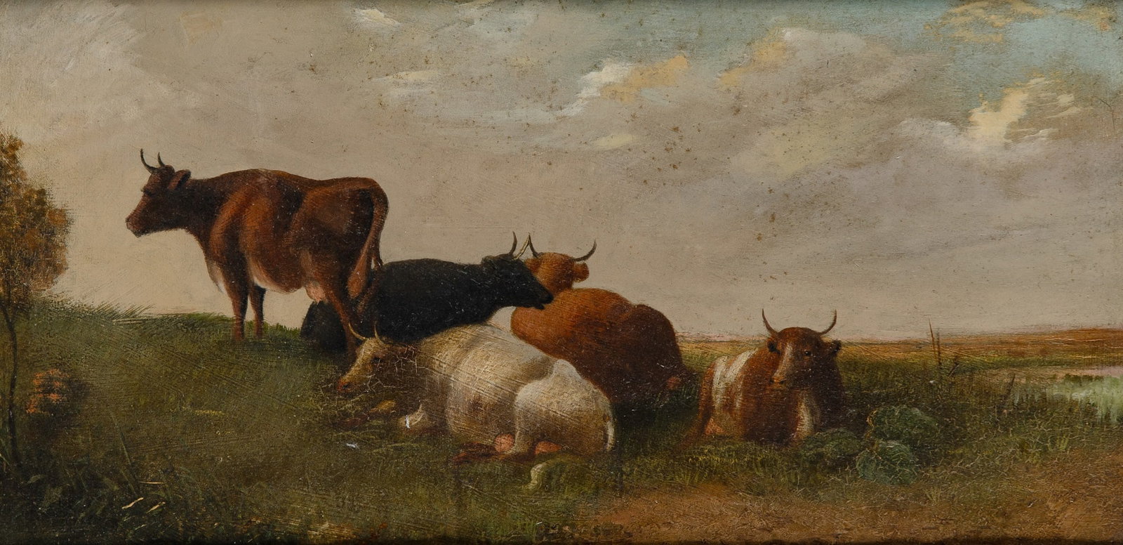 Attributed to Thomas Sydney Cooper: British, 1803-1882 Cows Resting in a Field Oil on panel 9 3/4 x 18 7/8 (24.8 x 48 cm) (Frame 13 3/8 x 22 1/4 inches)